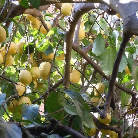 Due Mari سيستري ليفانتي