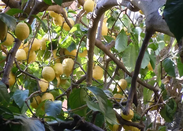 Due Mari Sestri Levante